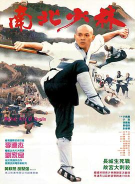 Martial Arts of Shaolin海报