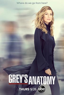 Grey's Anatomy Season 16海报