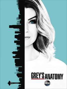 Grey s Anatomy Season 13海报