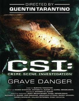 犯罪现场：拉斯维加斯第五季 / CSI犯罪现场(台)第五季海报