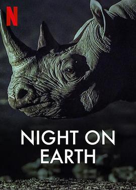 地球的夜晚在线观看-杰拉尔德影视